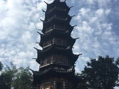 -上海佘山国家森林公园西佘山园