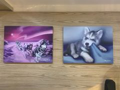 -Husky Go! 哈士奇体验馆·宠物咖啡厅狗咖