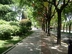 -小六汤包(万和城店)