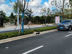 -南汇新场正宗水蜜桃采摘