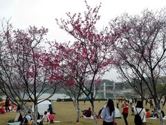 -东莞植物园