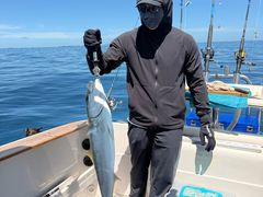 -王家味 - Wángjiā wèi