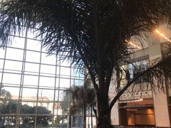 -上海外滩茂悦大酒店