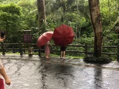 -七仙岭君澜度假酒店·桃源小馆中餐厅