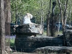 -秦皇岛野生动物园