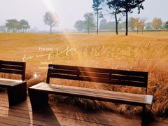 -汉长安城未央宫国家考古遗址公园