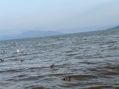 -深圳湾公园(南山区)