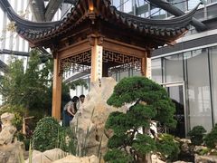 -上海中心大厦
