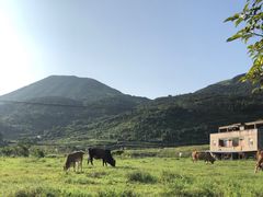 -大姆山草场