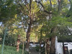 -杭州黄龙洞