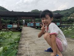 -红山村
