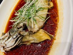 -百姓渔村(南中环店)