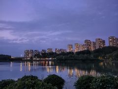 -丁香湖公园