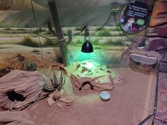 -正佳雨林生态植物园