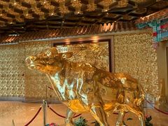 -华西龙希国际大酒店旅游观光景区