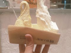 -野人先生现做冰淇淋(贵阳万象汇店)