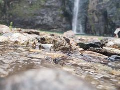 -泽雅七瀑涧景区