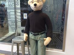 iphone_upload_pic-济州岛泰迪熊博物馆