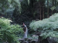 -静安公园(静安寺街道)