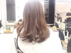-潘多拉Hairsalon