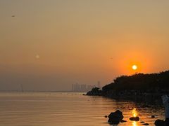 -深圳湾公园(南山区)