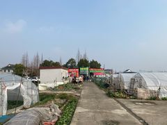 -小鱼草莓采摘园农家乐·小鱼餐厅