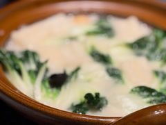 -子福慧(虹桥店)