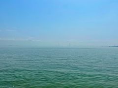 -大湾区中央湿地公园