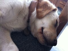 -武夷山旧街壹号溪岸旅馆(三姑度假区店)