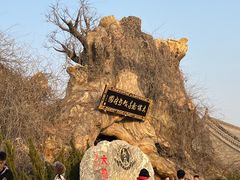 -大槐树寻根祭祖园