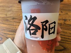 -老雒阳面馆·水席(定鼎门店)