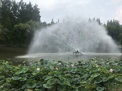 -梅林春晓花园餐厅