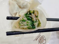 荠菜鲜肉水饺-饺子季水饺餐厅(新市街店)
