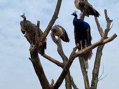 -杭州野生动物世界