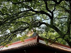 -南岳衡山风景名胜区-南岳大庙