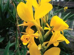 -苏州河梦清园环保主题公园