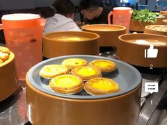 -龍歌自助小火锅(崂山丽达店)