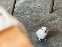 -钉子咖啡·Nail coffee(天鸿店)