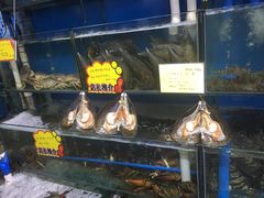 水产区-蚝专家(北滘店)