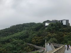 -福道