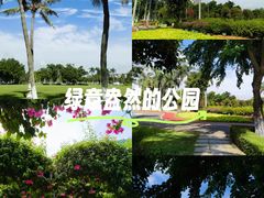-万绿园