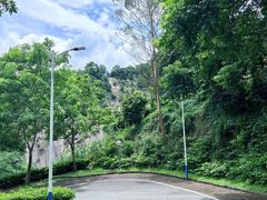 -火炉山森林公园