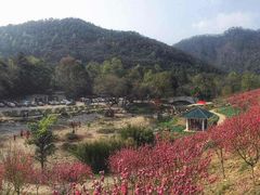 -广州市石门国家森林公园