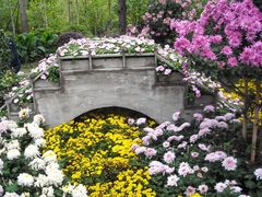 -龙头寺公园