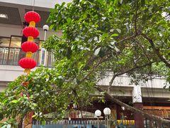 -广州酒家(文昌总店)