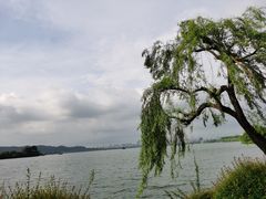 -江南春(中山中路店)