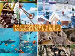 -长鹿旅游休博园