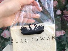 -BLACKSWAN黑天鹅(环球店)