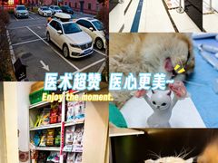 -派美特宠物医院·核磁CT·骨科肿瘤·疑难转诊(沈农禾丰店)