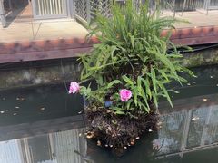 -大妙火锅·非物质文化遗产(东湖公园店)